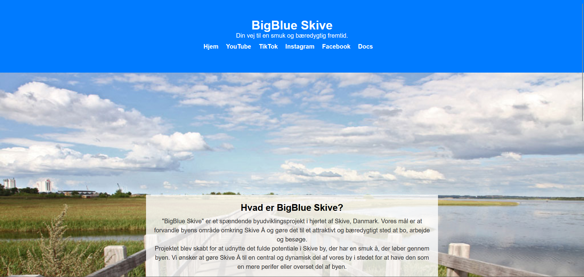 Billede af mock up forside